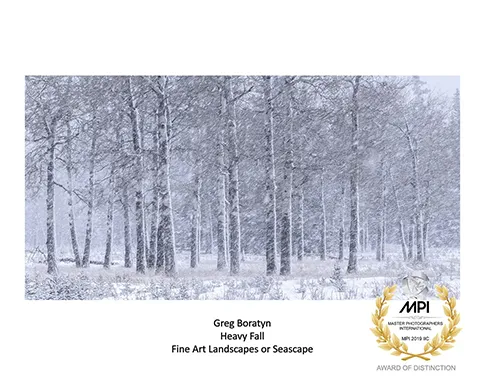 award 2019