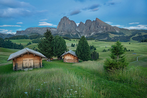 gallery-photo