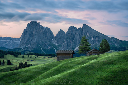 gallery-photo