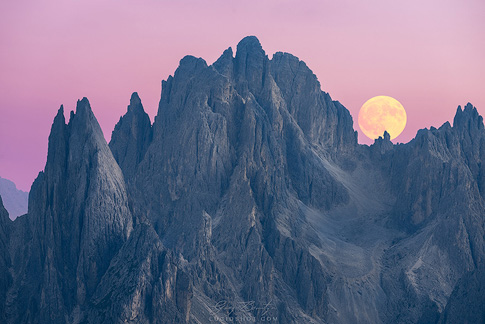 gallery-photo