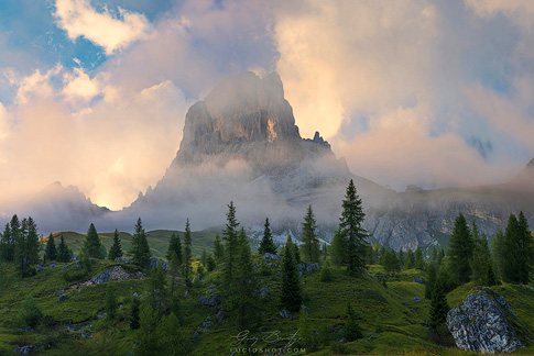 gallery-photo