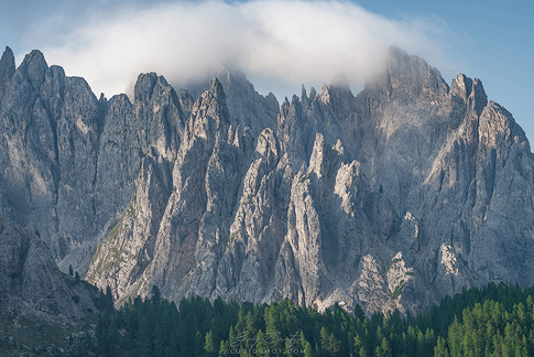 gallery-photo
