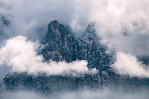 gallery-photo