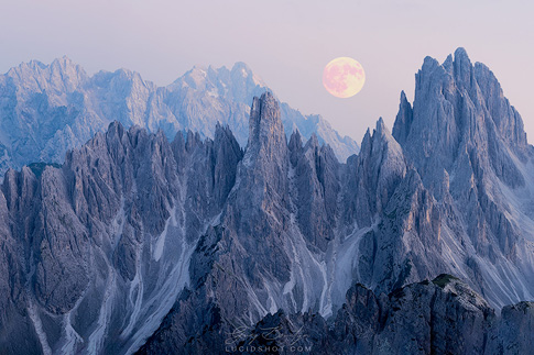 gallery-photo