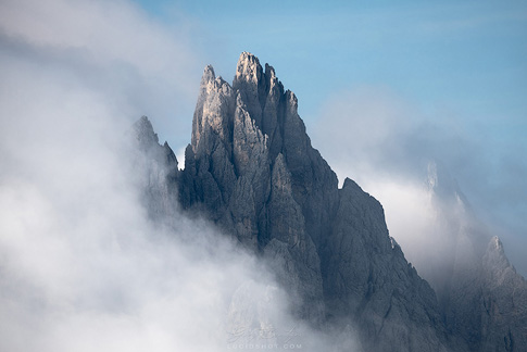 gallery-photo