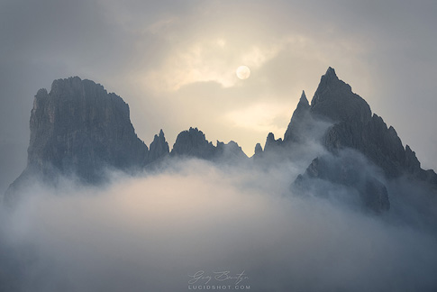 gallery-photo