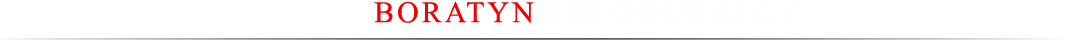 no logo